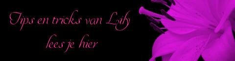 Banner Lily blog